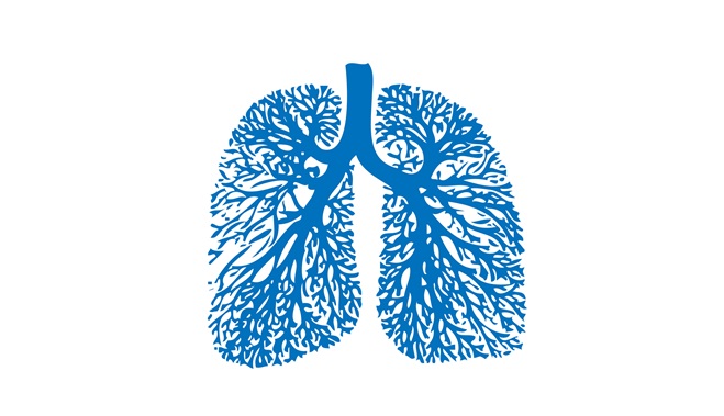 La tuberculose