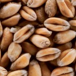 Acheter Les céréales complètes bonnes pour le cœur Les céréales complètes bonnes pour le cœur
