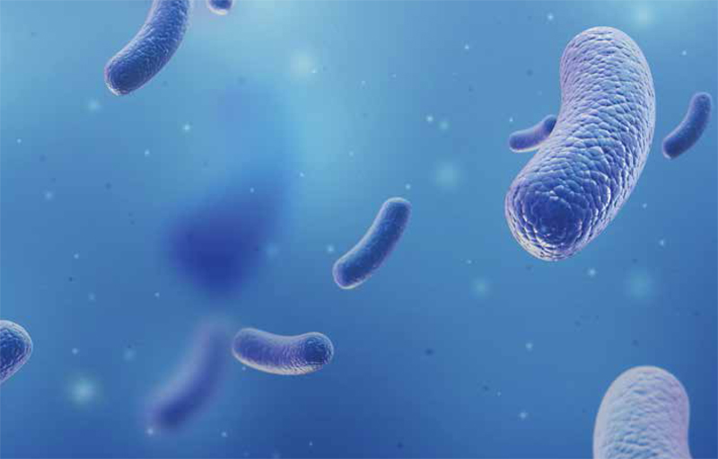 Nouveau marché : développer le conseil en micronutrition