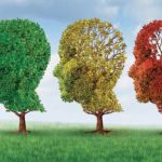 Acheter Les troubles cognitifs du sujet âgé Les troubles cognitifs du sujet âgé
