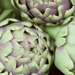 Acheter Céleri et artichaut contre le cancer du pancréas ? Céleri et artichaut contre le cancer du pancréas ?