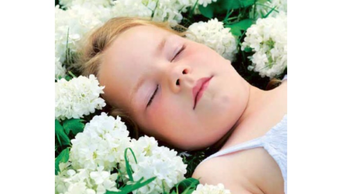 Les plantes et l’aroma du sommeil