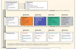 Stratégie des anti-hyperglycémiants du diabète de type 2 (adaptée au marché français).