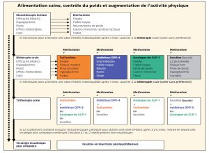 Stratégie des anti-hyperglycémiants du diabète de type 2 (adaptée au marché français).