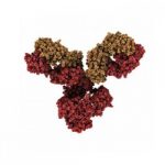 Acheter Les biosimilaires Les biosimilaires