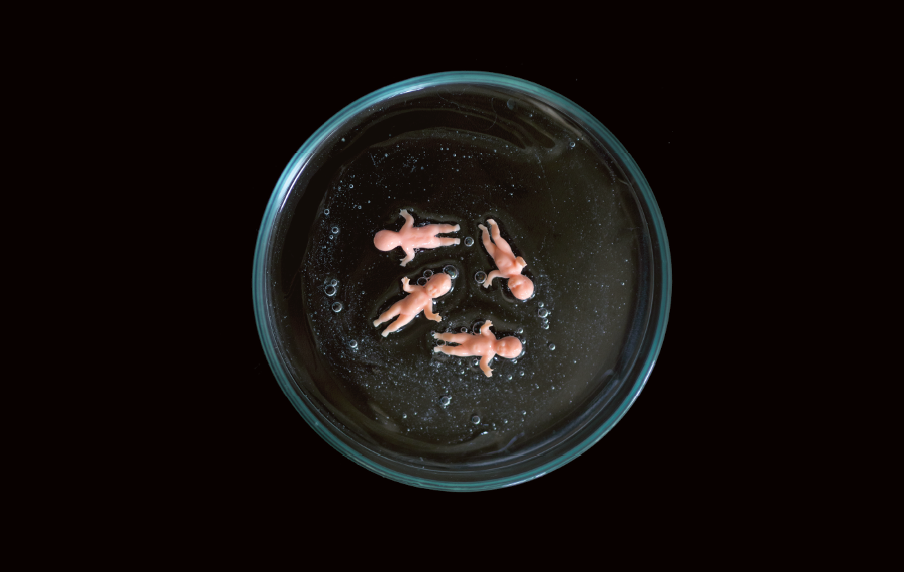 Perturbateurs endocriniens : la traque