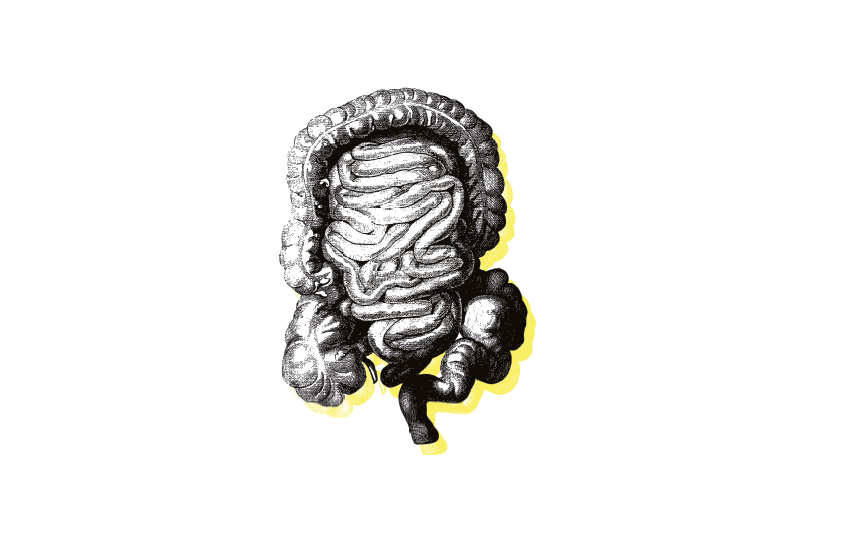 En avoir dans le ventre pour vaincre le cancer