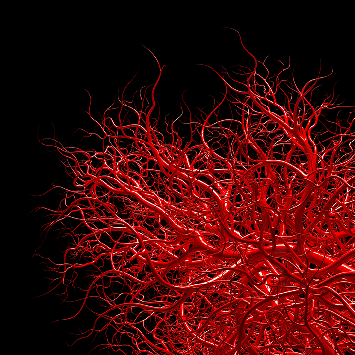 Anticoagulants oraux sous surveillance