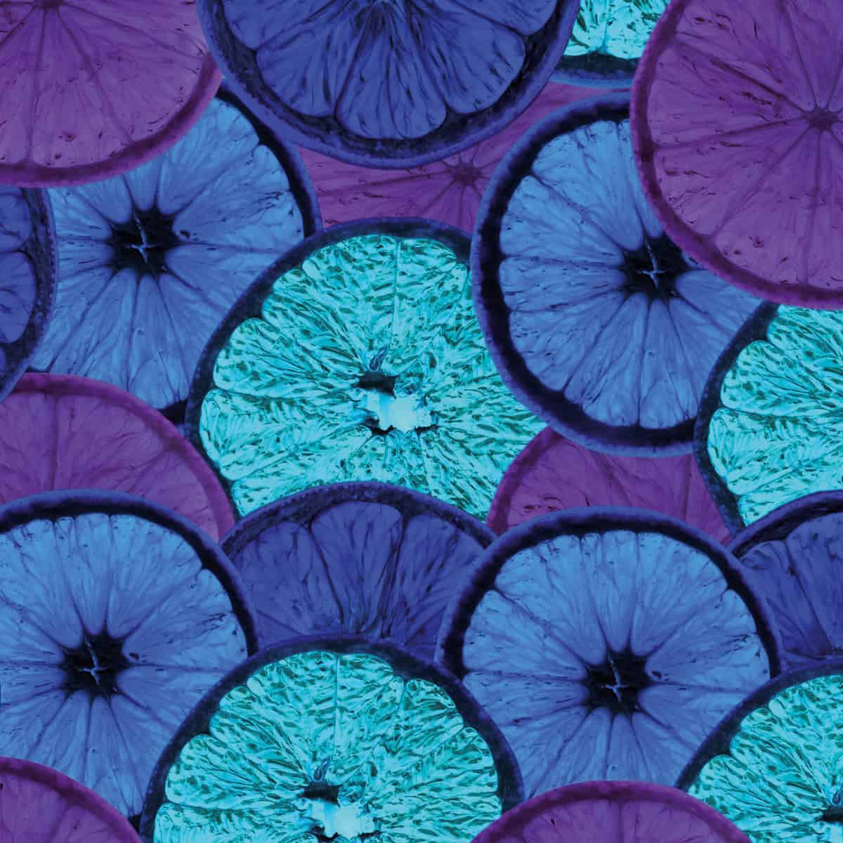 Vitamines, minéraux et probiotiques