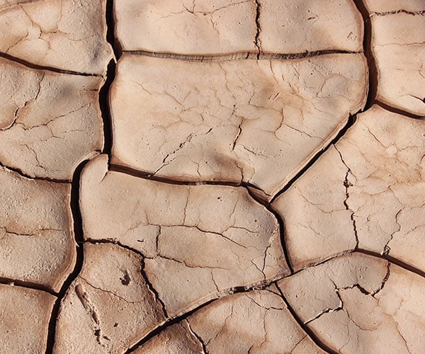 Peau sèche&nbsp;: des soins performants