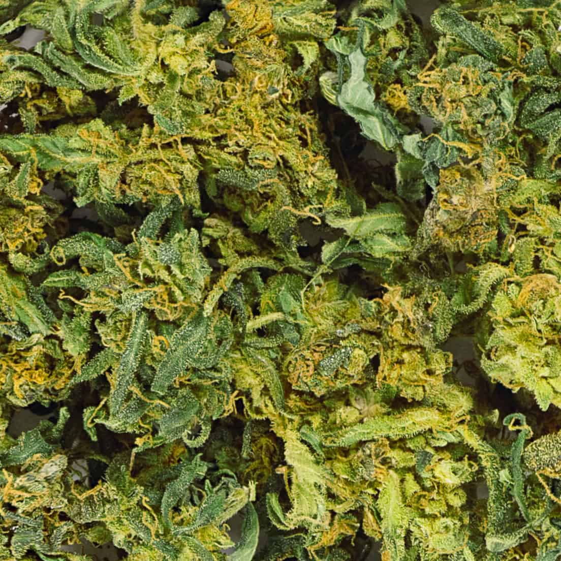 Cannabis thérapeutique&nbsp;: bientôt vendu en pharmacie&nbsp;?