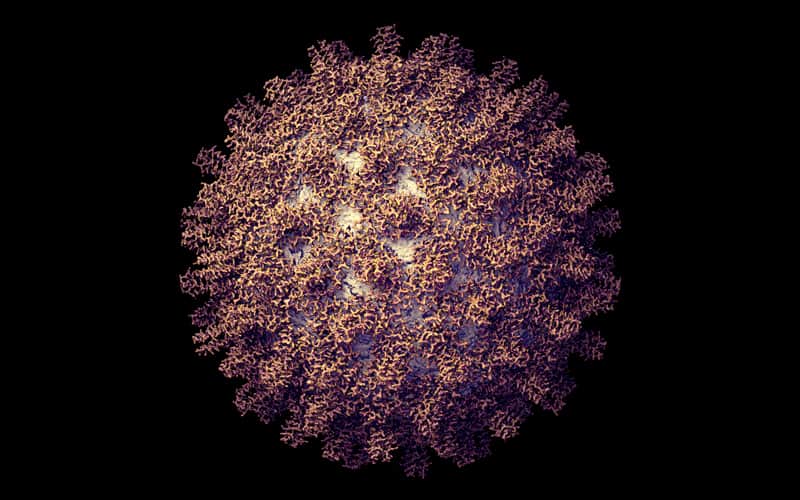 Acheter Hépatites : la fin d’une épidémie ? Hépatites : la fin d’une épidémie ?