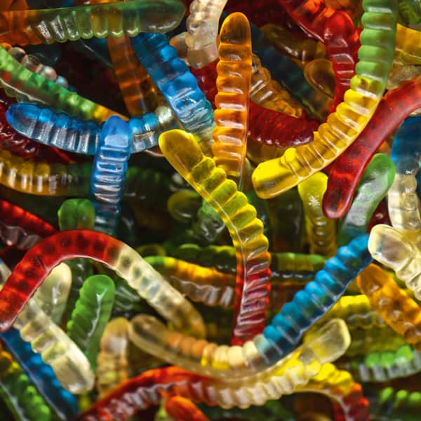 Chat, chien... quel vermifuge proposer&nbsp;?