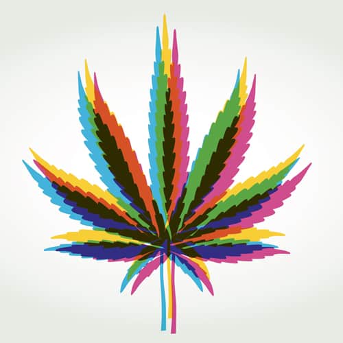 Cannabis médical&nbsp;: pourquoi l’expérimentation tarde