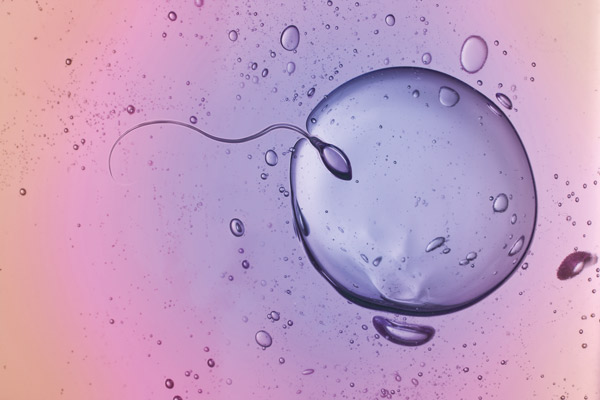 “&nbsp;Je souhaite être enceinte&nbsp;”