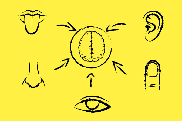 Marketing sensoriel : exploitez les 5 sens de vos patients