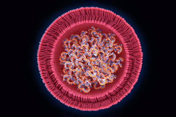 La vaccination en perpétuelle innovation