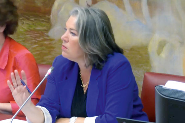 « <i>Les pénuries de médicaments pourraient être encore plus graves sans la présence des pharmacies dans les territoires. </i>» 