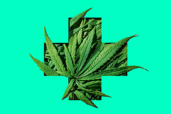 Les pharmaciens prêts à délivrer du cannabis thérapeutique