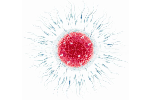Infertilité : savoir répondre  aux questions courantes