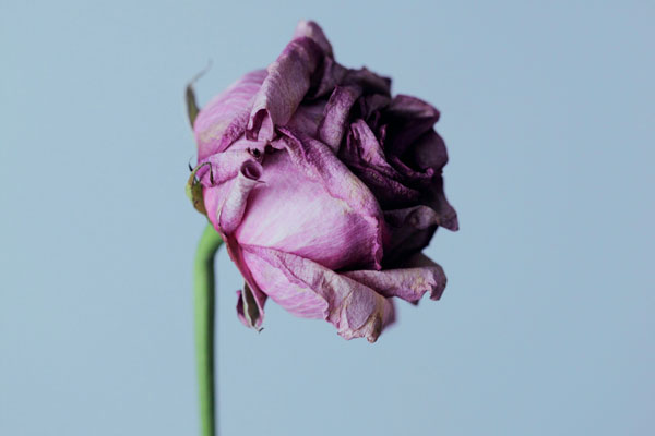 Faire face à la mort d’un patient&nbsp;: des pharmaciens témoignent