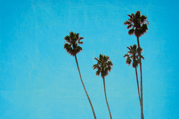 Exercer sous les tropiques, nouvel eldorado des pharmaciens ?